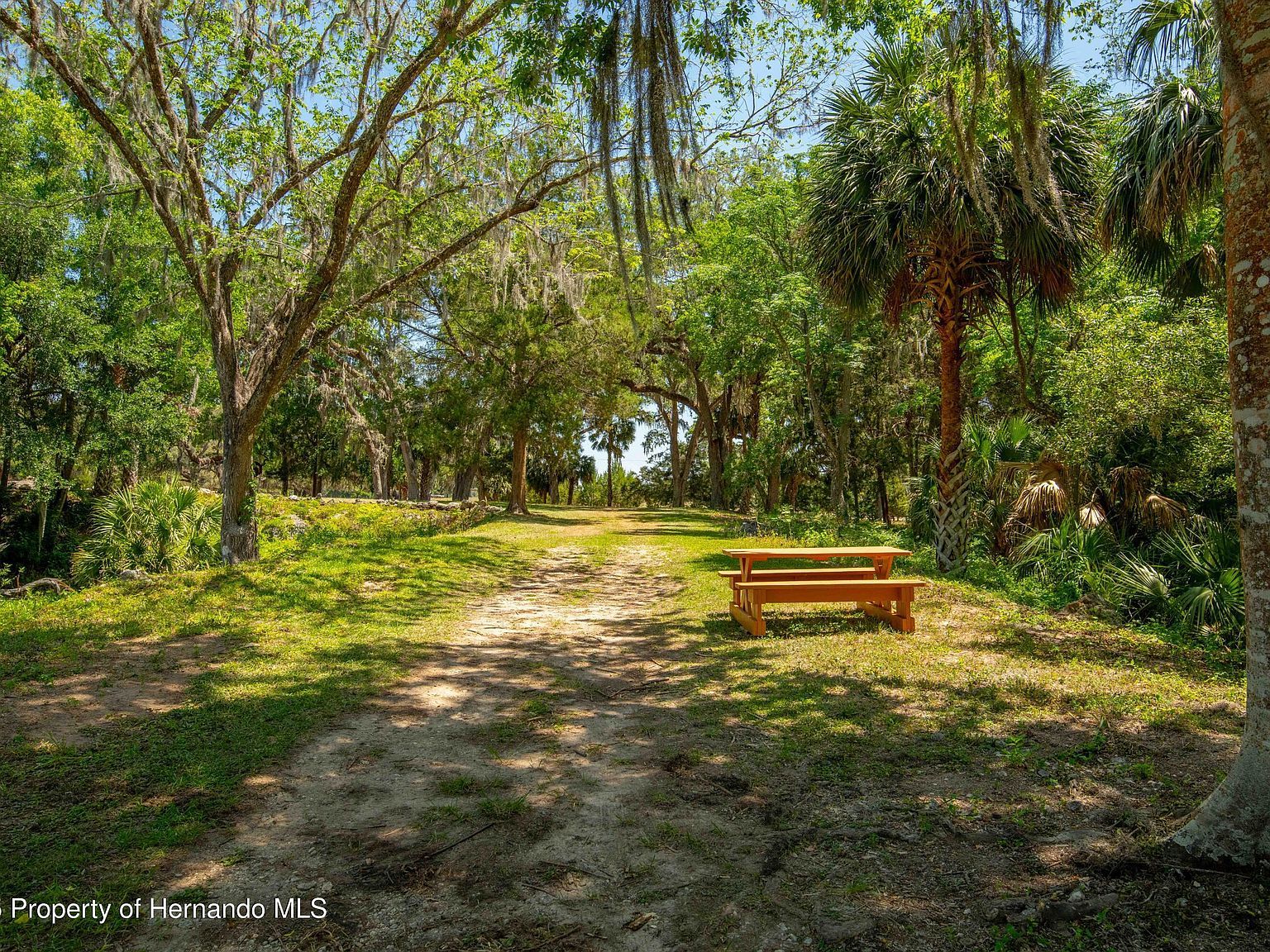 8800 S Steed Ter Floral City, FL 34436  | Land/Lot