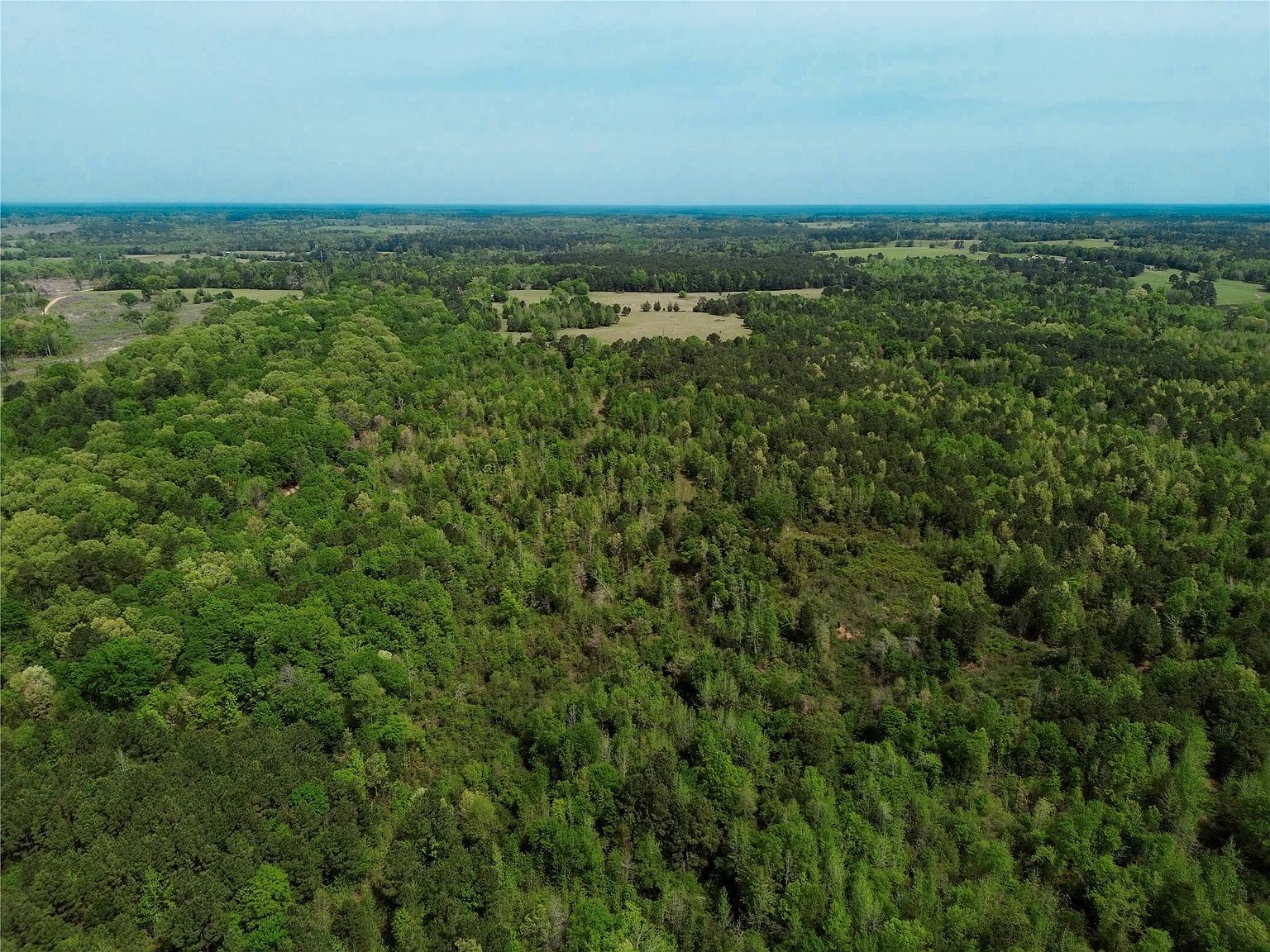 0 County Road 2742 Naples, TX 75568  | Land/Lot