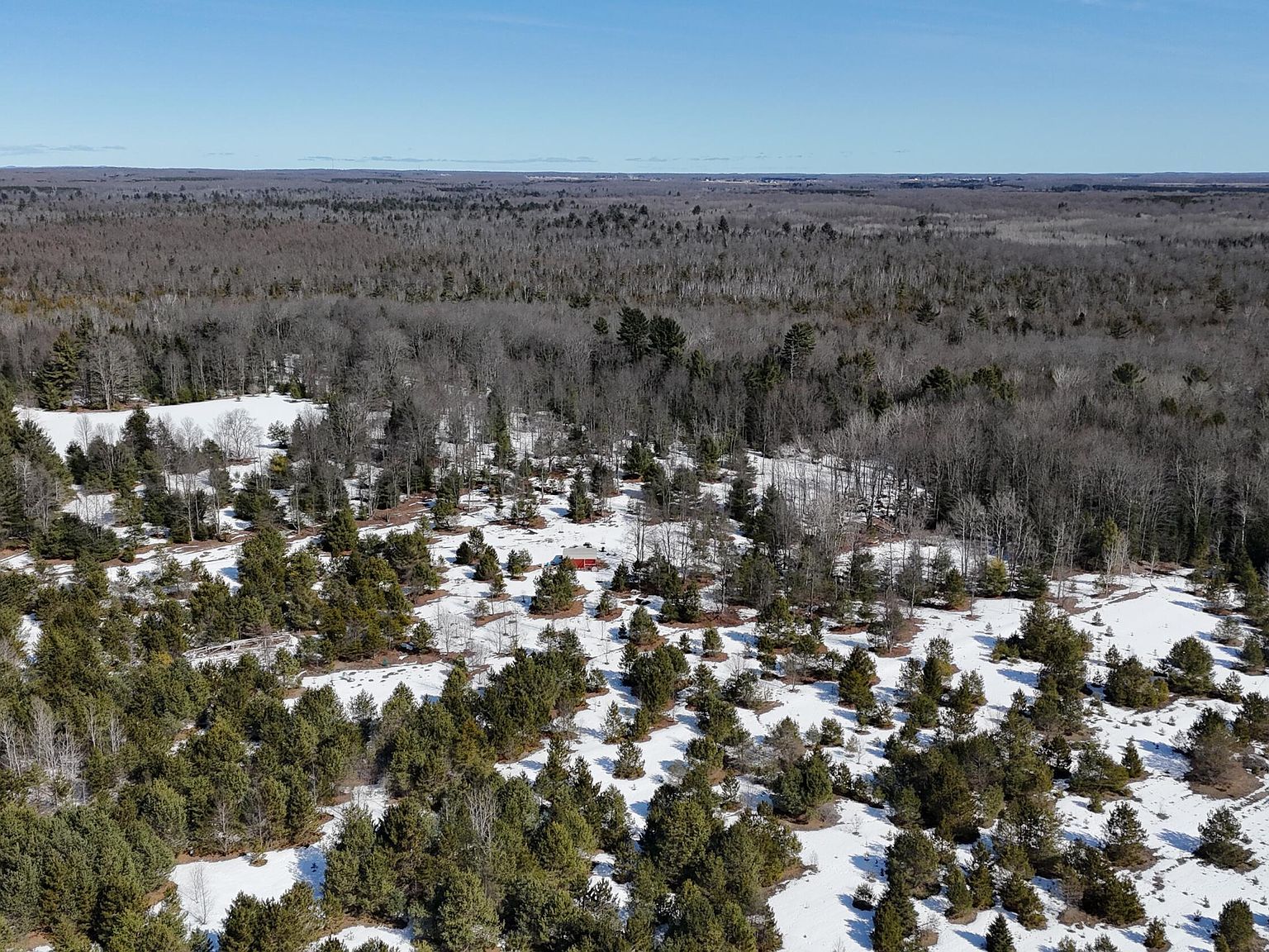 9700 N 1st Rd Copemish, MI 49625 | Land/Lot