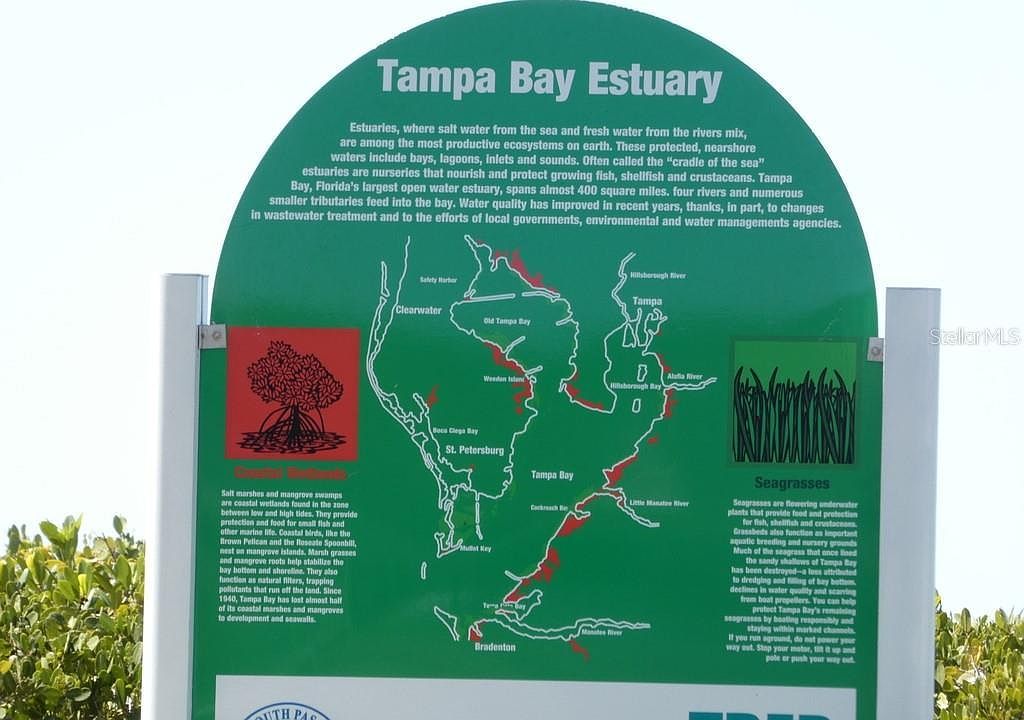 7010 Sunset Dr S APT 1B South Pasadena, FL 33707  | Condominium