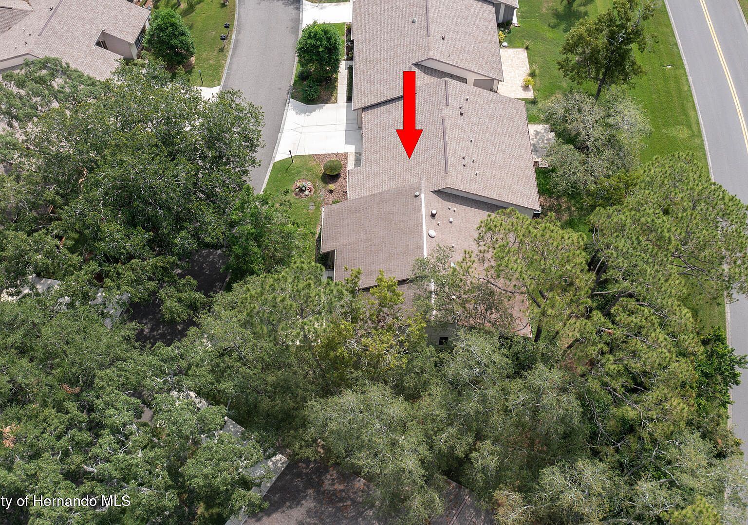 6620 Brambleleaf Dr Spring Hill, FL 34606 | New build