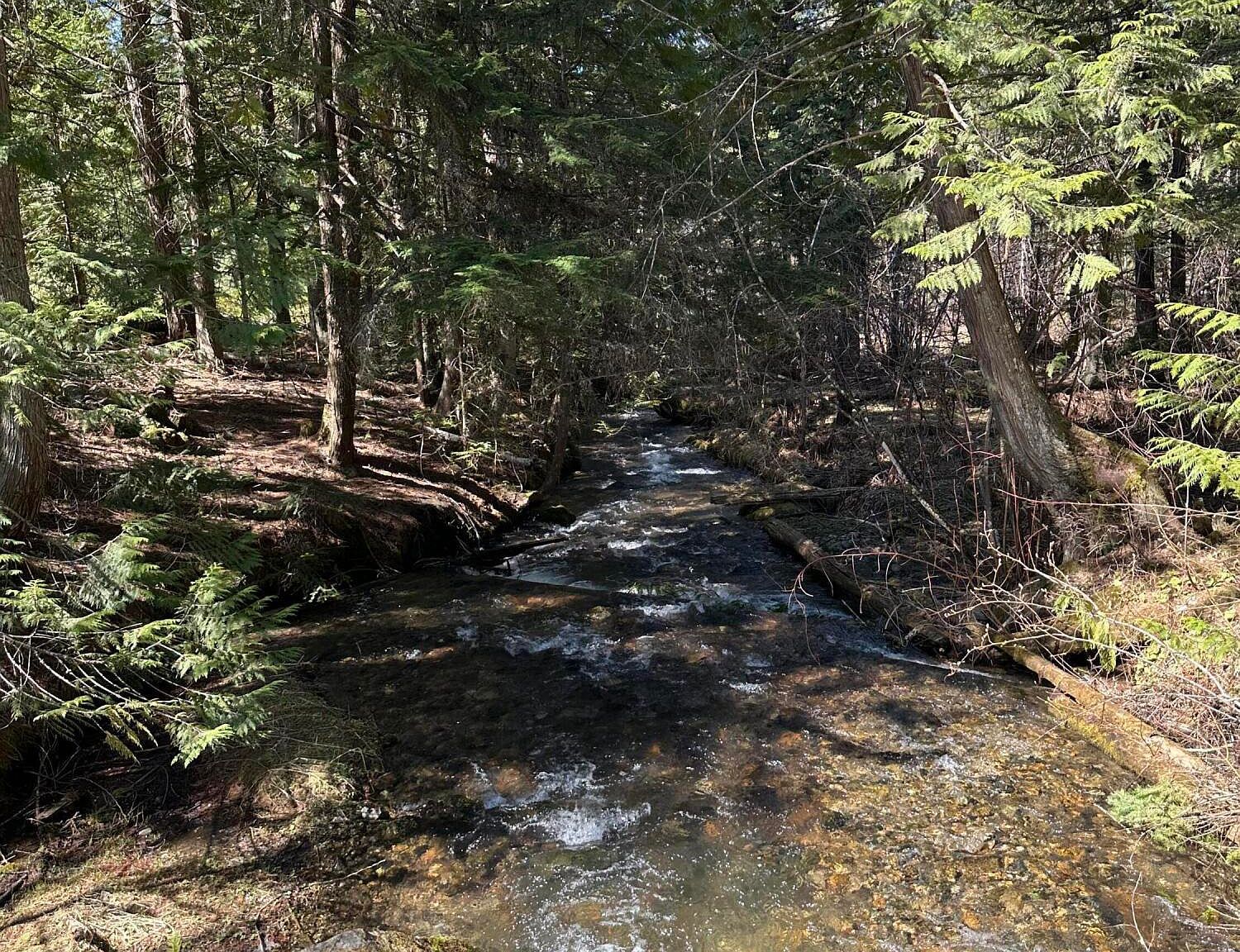 3928 Cedar Creek Rd Colville, WA 99114  | Single Family