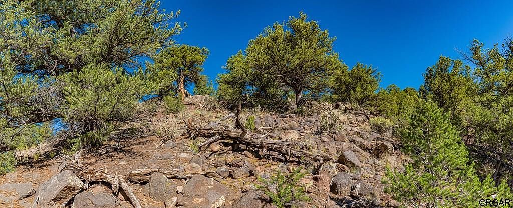 675 Black Gulch Rd Cotopaxi, CO 81223 | Land/Lot