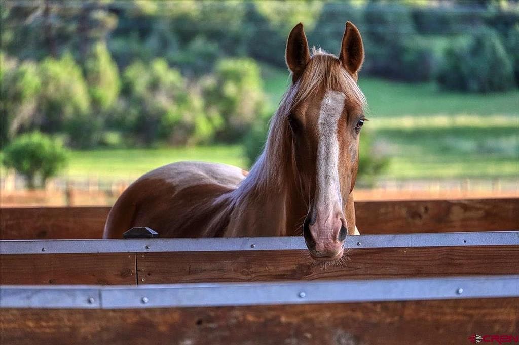 581 Mariposa Dr Pagosa Springs, CO 81147  | Single Family