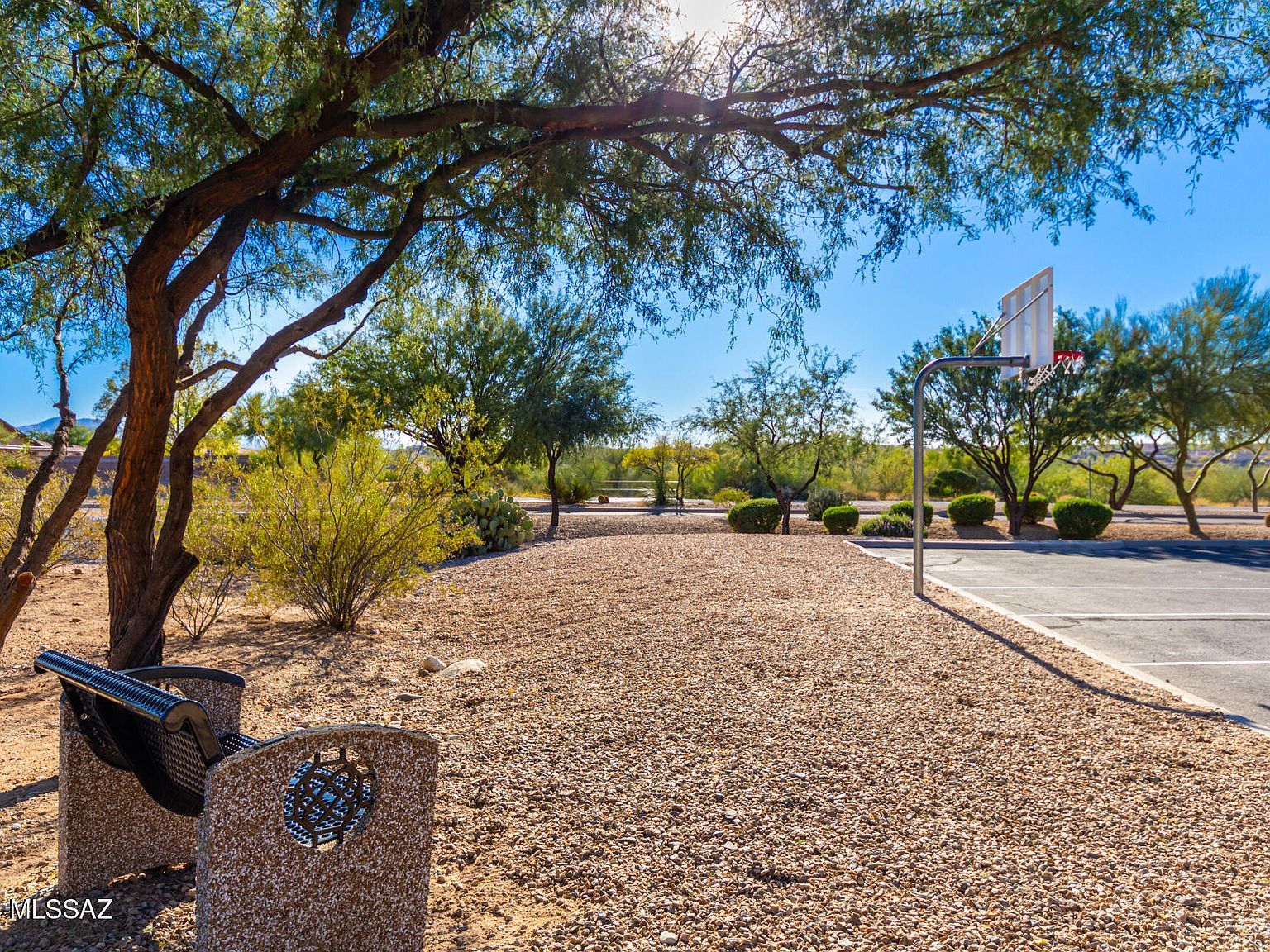 13696 E Aviara Pl Vail, AZ 85641  | Single Family