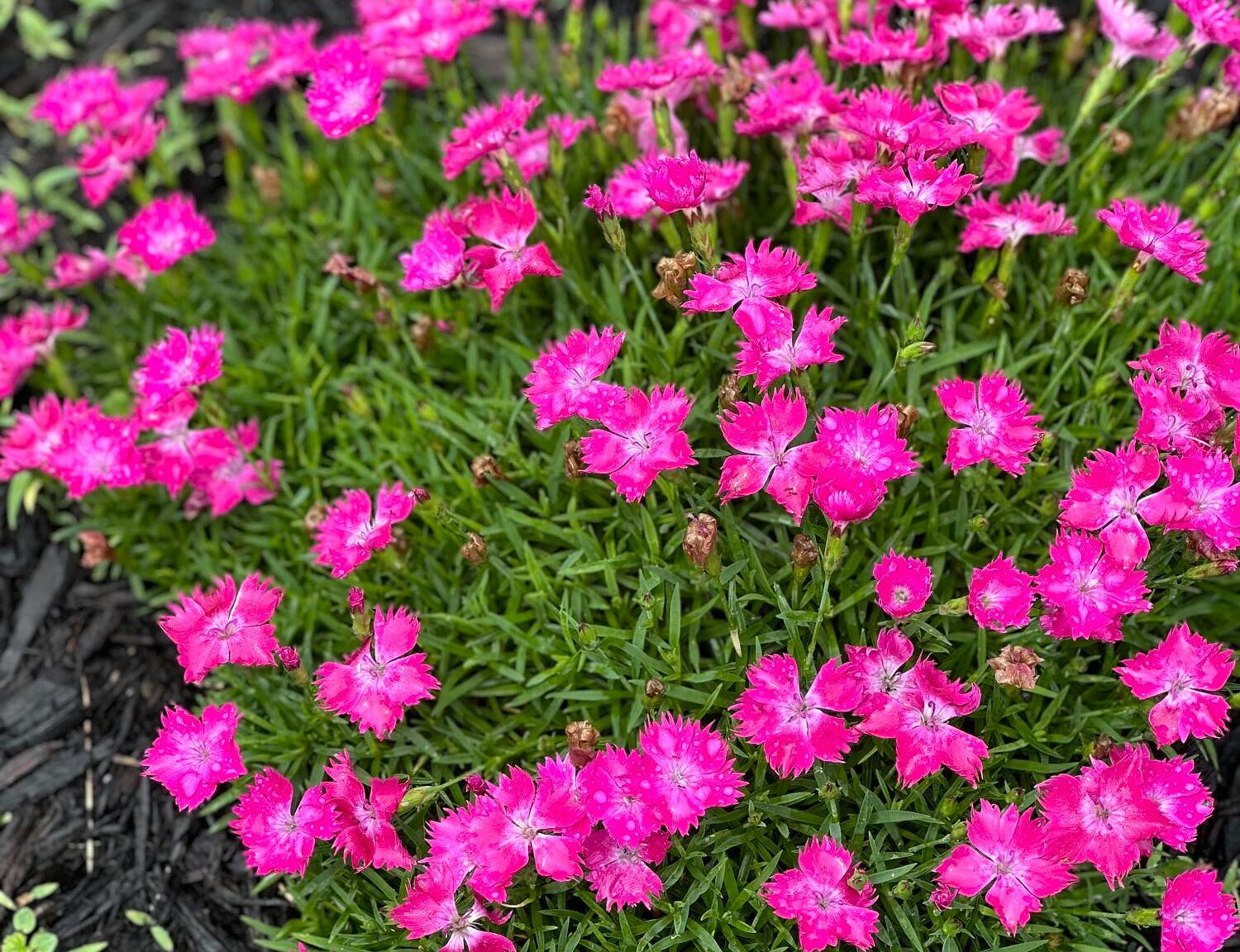 2294 Wisemantown Rd Irvine, KY 40336  | Single Family