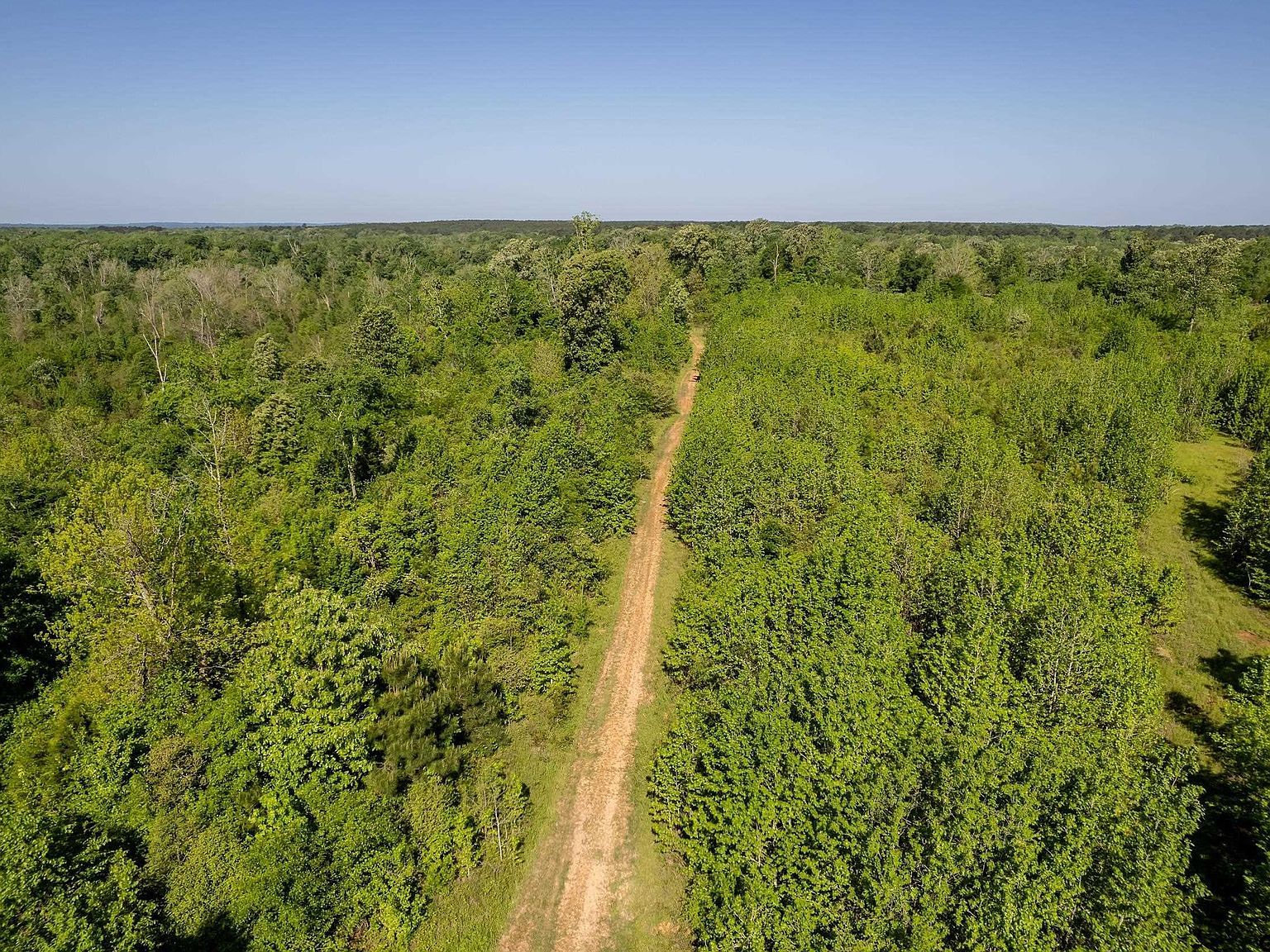 1111 State Highway 21 Alto, TX 75925 | Land/Lot