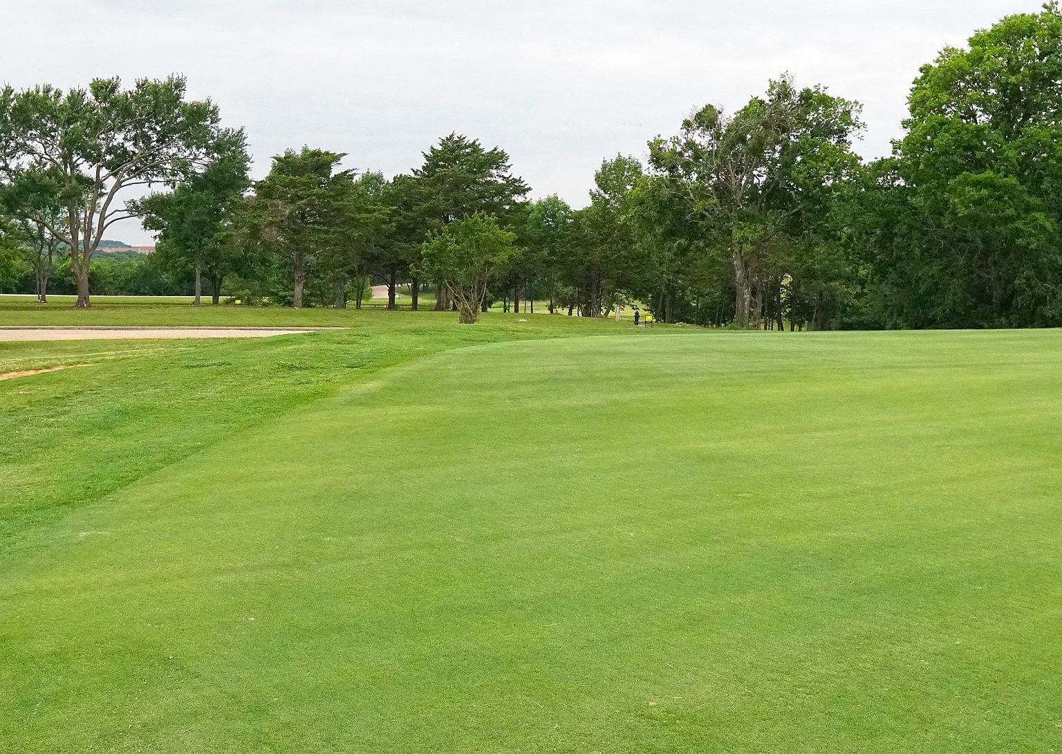 37 Palmer Ln Pottsboro, TX 75076  | Land/Lot