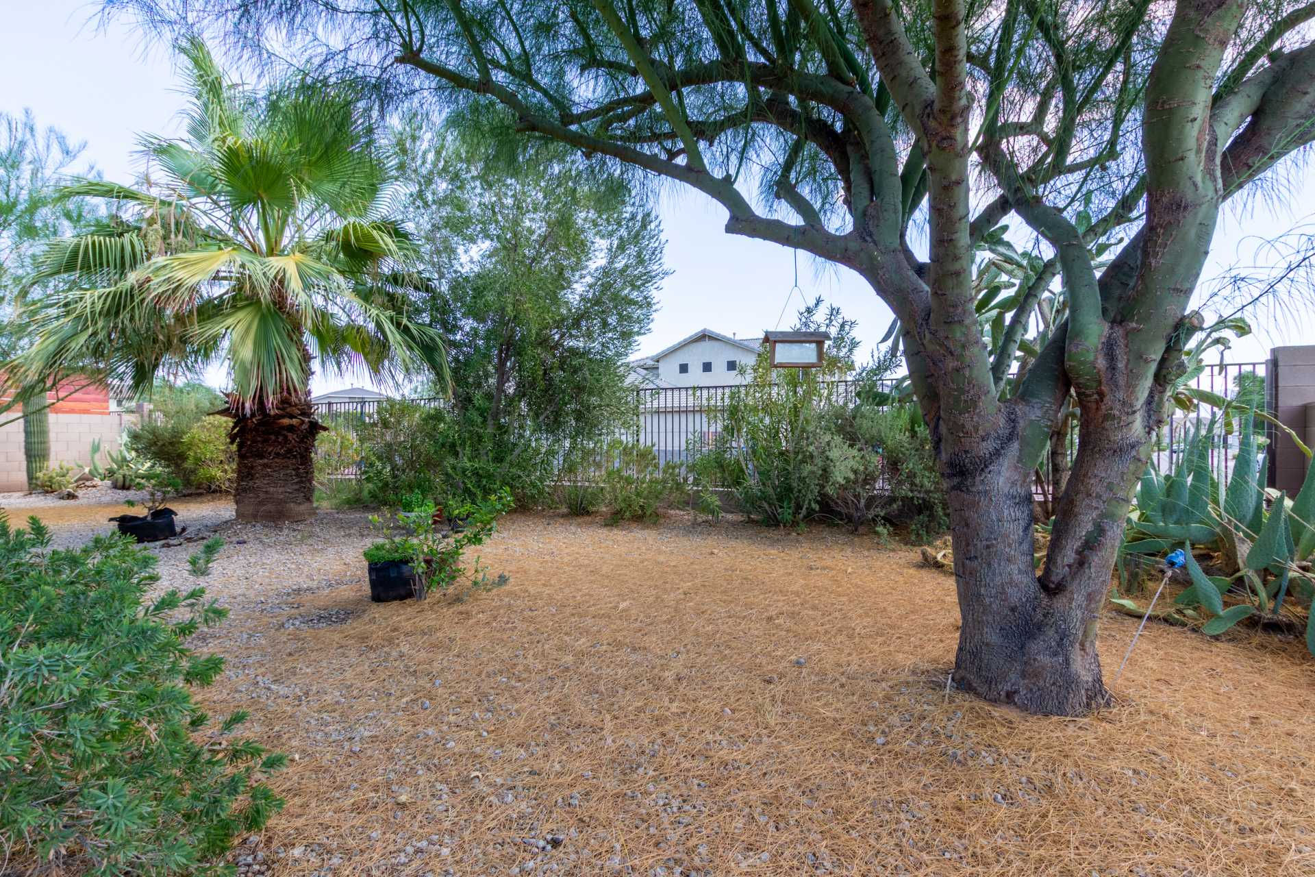 7129 W Carter Rd, Laveen, AZ 85339, USA  | Single Family