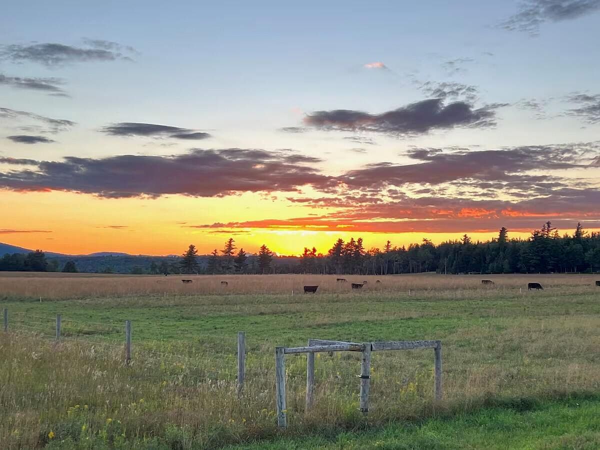 80 Norman Ridge Rd Vermontville, NY 12989 | Single Family