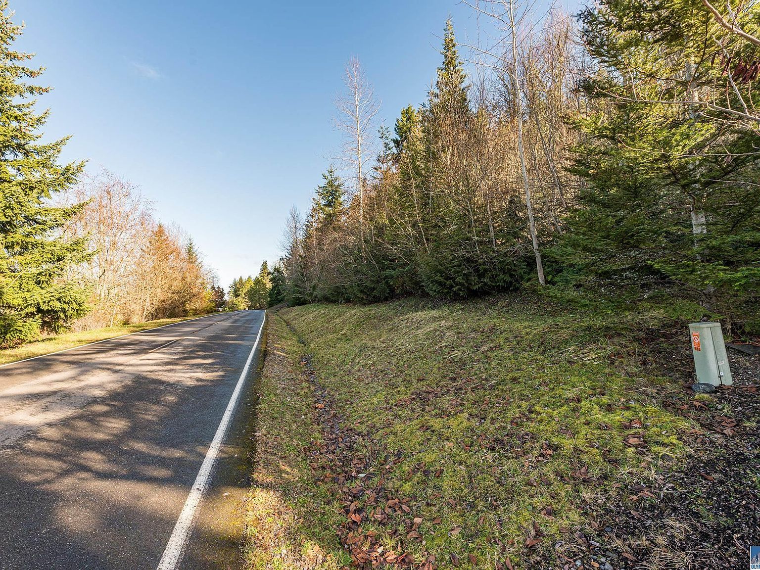 3 Owls Nest Rd Sequim, WA 98382 | Land/Lot