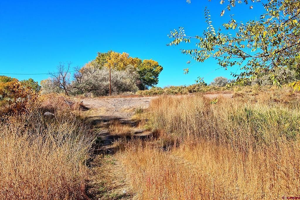 12053 Highway 65 Eckert, CO 81418  | Single Family