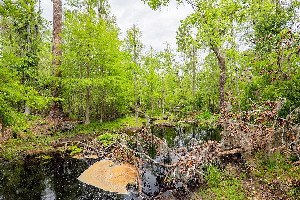 94 W Thigpen Ave Lakeland, GA 31635 | Single Family