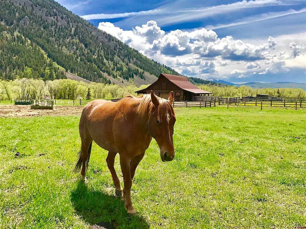 235 Lupine Dr Almont, CO 81210  | Land/Lot