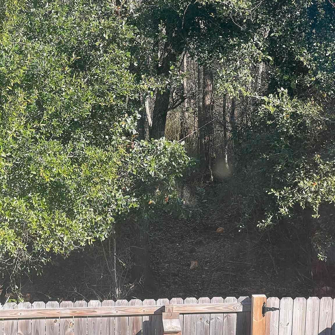 3770 Weatherstone Cir Perdido Key, FL 32507  | Single Family