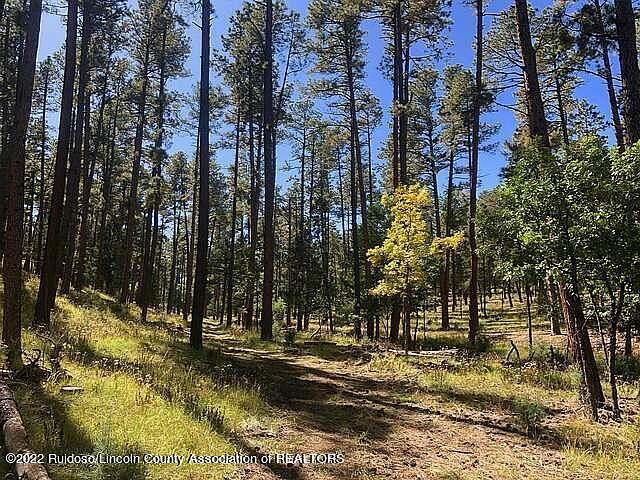 State Highway 48 Alto, NM 88312  | Land/Lot
