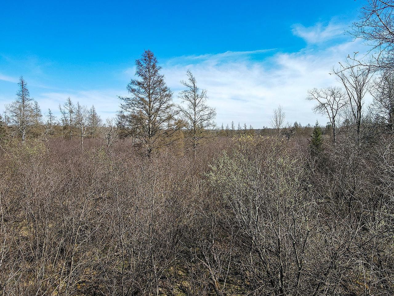 Cth E Tomahawk, WI 54487 | Land/Lot