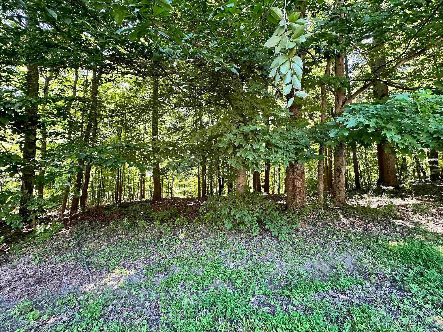 2925 Fox Ct E Martinsville, IN 46151 | Land/Lot