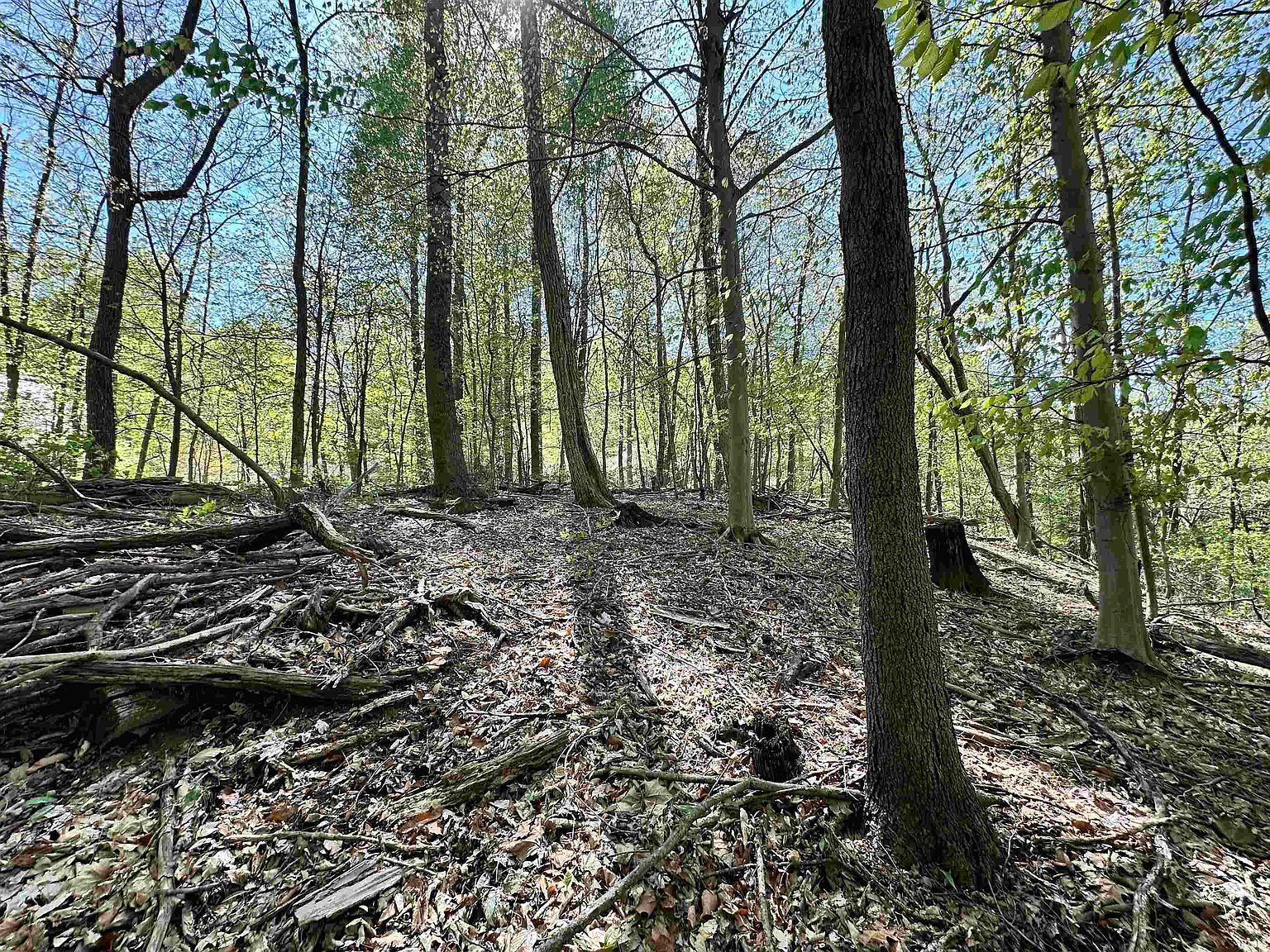 2036 Silver Fox Dr Martinsville, IN 46151  | Land/Lot