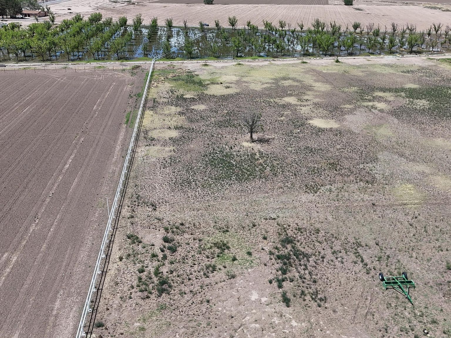 557 Aldaz Rd Anthony, NM 88021 | Land/Lot