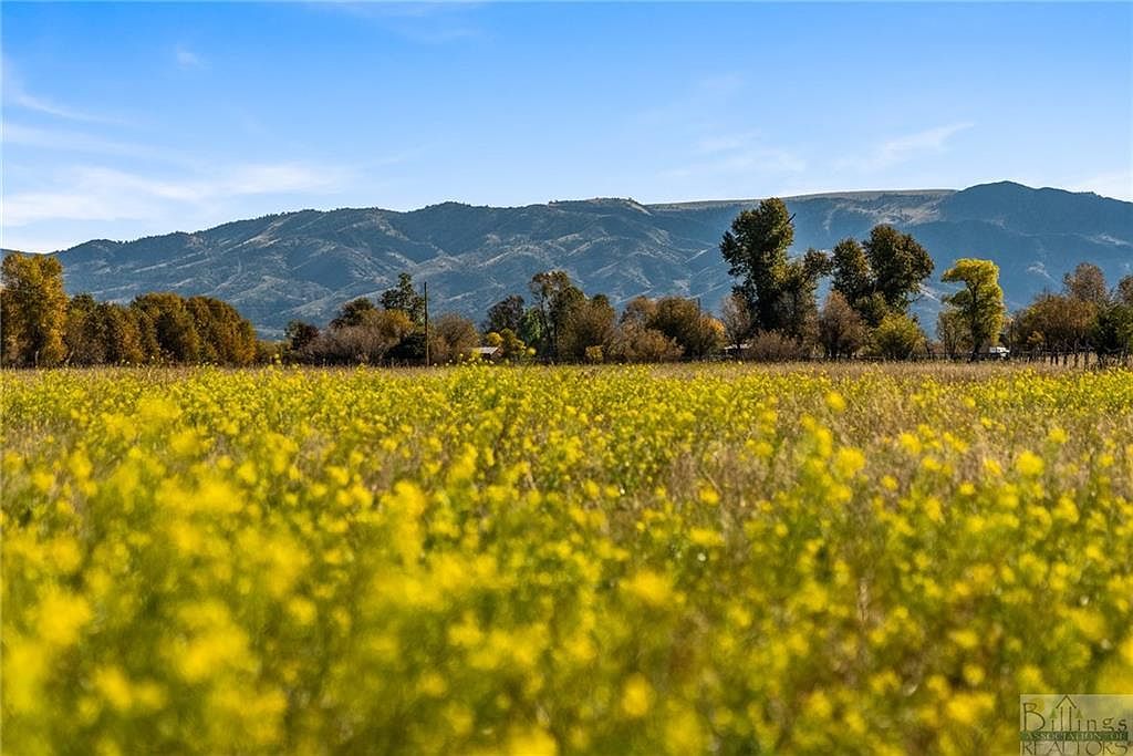 McKeown Other See Cardwell, MT 59721 | Land/Lot