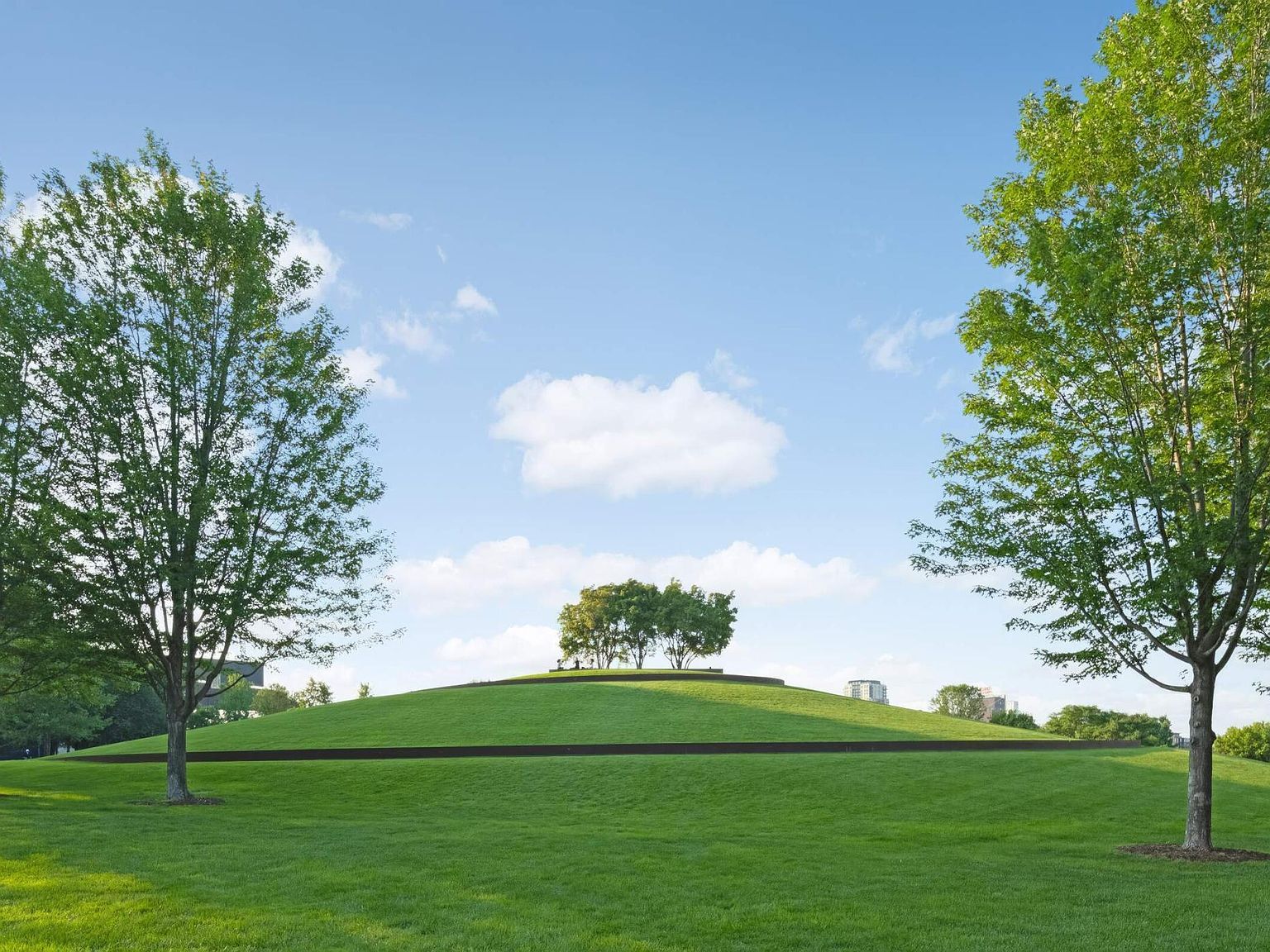 521 S 7th St UNIT 311 Minneapolis, MN 55415  | Condominium