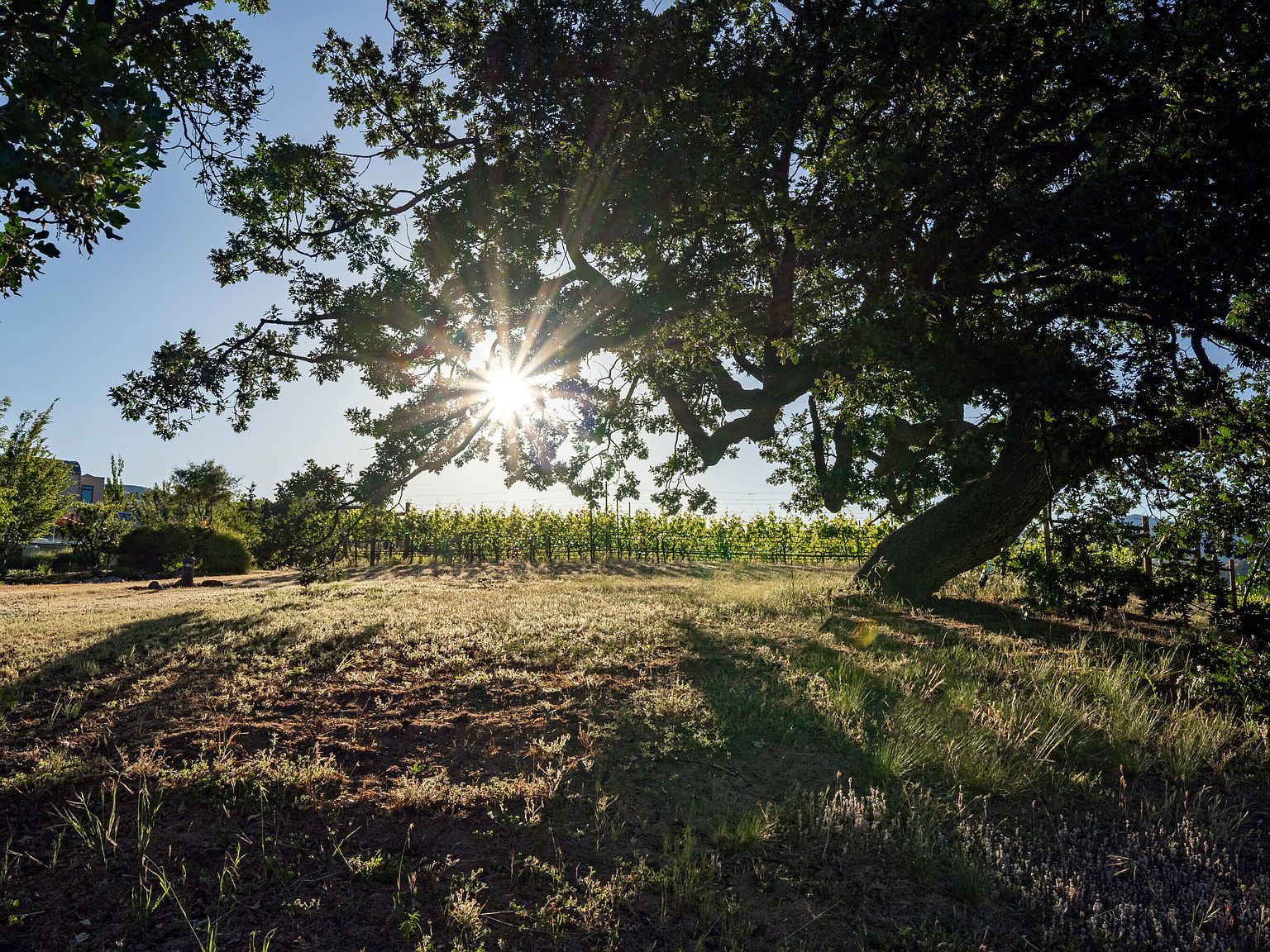 786 Pompadour Dr Ashland, OR 97520 | Single Family