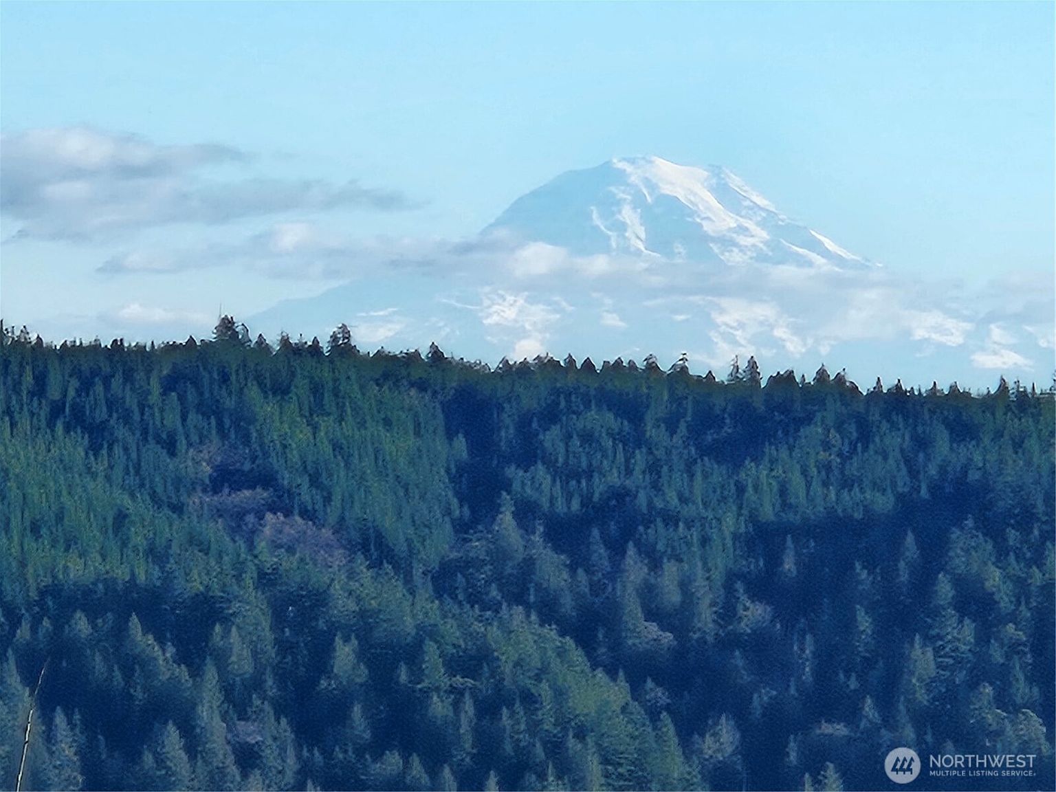 60 N Diamond Head Dr Lilliwaup, WA 98555 | New build