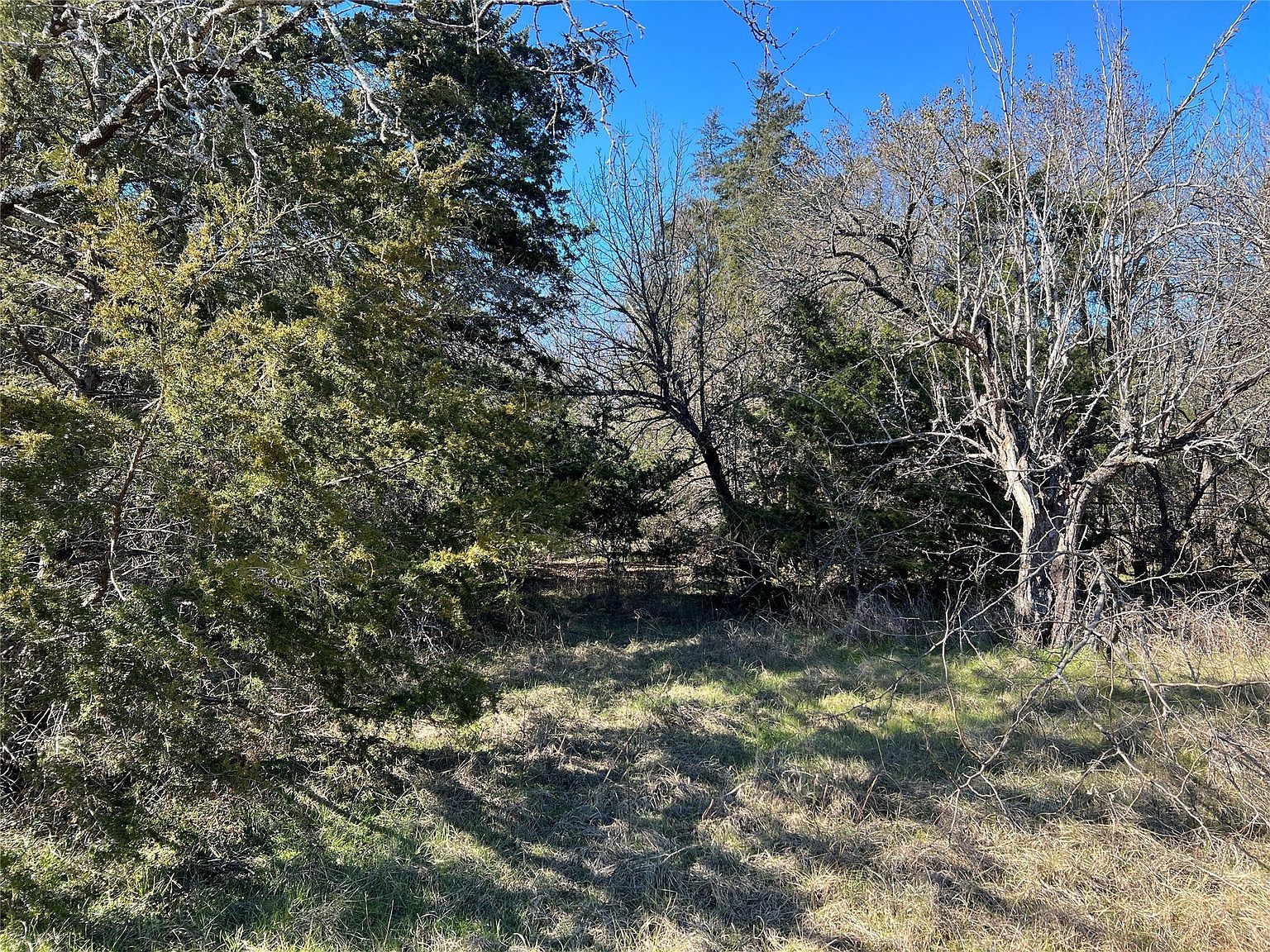 LOT 2 Sweetwater Trl Kerens, TX 75144  | Land/Lot