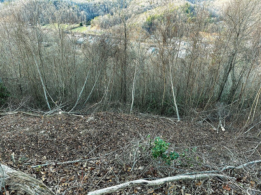 Varsity Dr Sylva, NC 28779  | Land/Lot