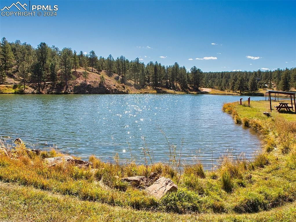 551 Forest Glen Trl Florissant, CO 80816  | Single Family