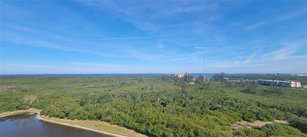 10851 Mangrove Cay Ln NE APT 1112 Saint Petersburg, FL 33716  | Condominium