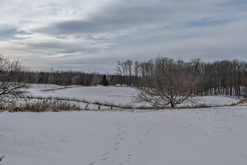 179432 County Road Ii Eland, WI 54427  | Land/Lot