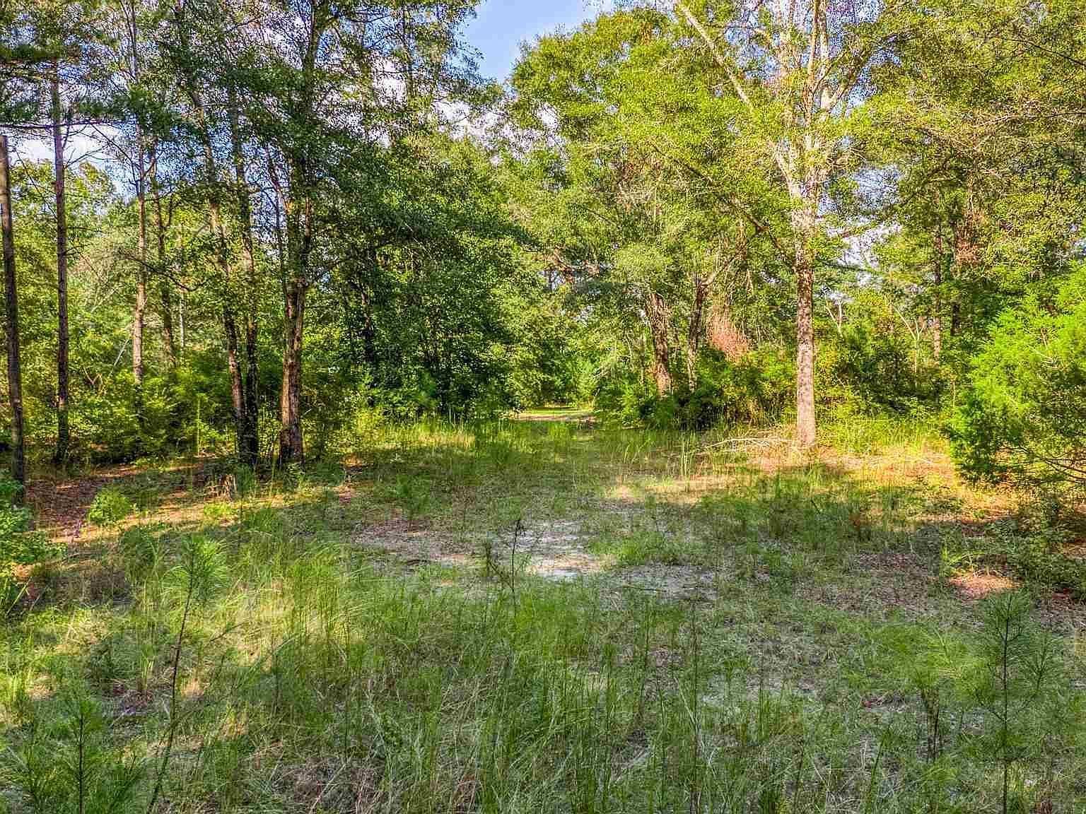 7901 Short Creek Rd Jay, FL 32565 | Land/Lot