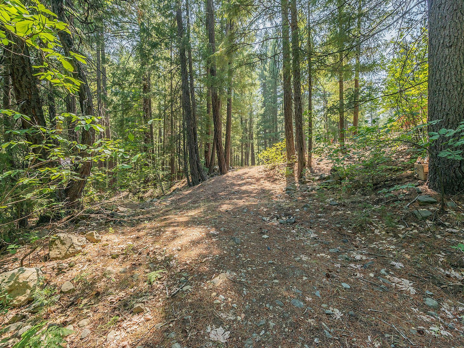 1371 Eagle Creek Loop Rd Trinity Center, CA 96091  | Single Family