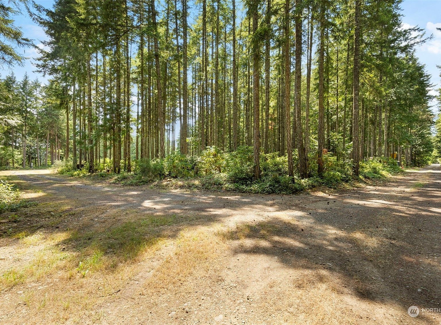 140 Springer Ln Brinnon, WA 98320 | Single Family