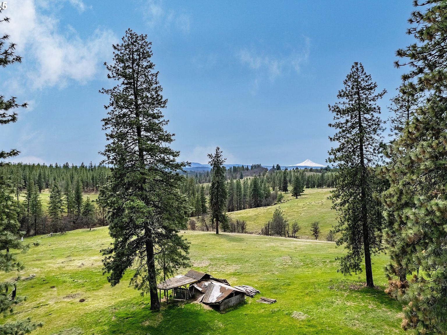 959 Zelinski Rd Goldendale, WA 98620 | Single Family