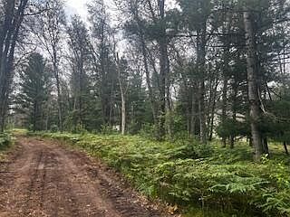 2083 S Lynx Track Trl Baldwin, MI 49304  | Single Family