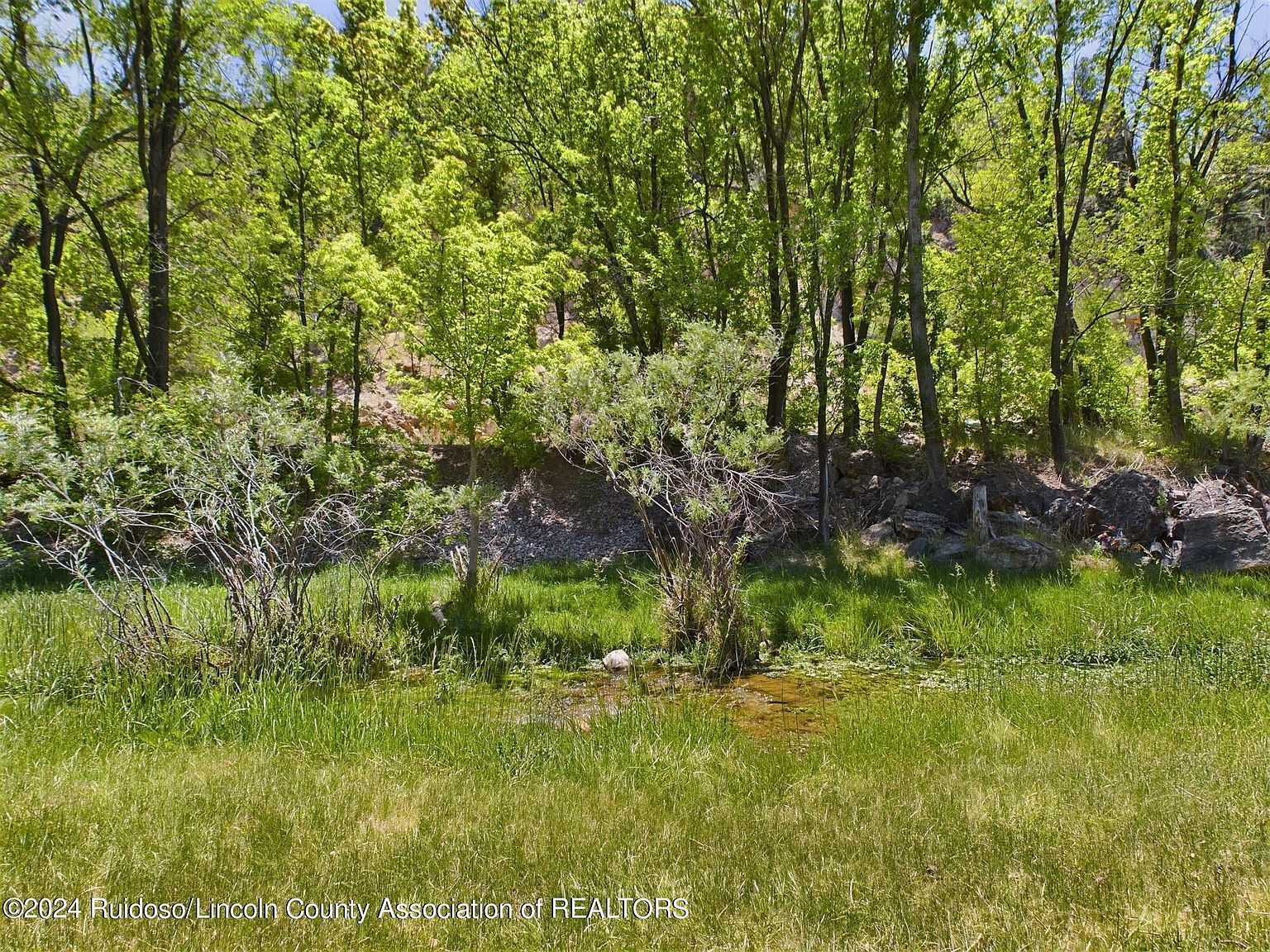 151 Carrizo Canyon Rd Ruidoso, NM 88345  | Single Family