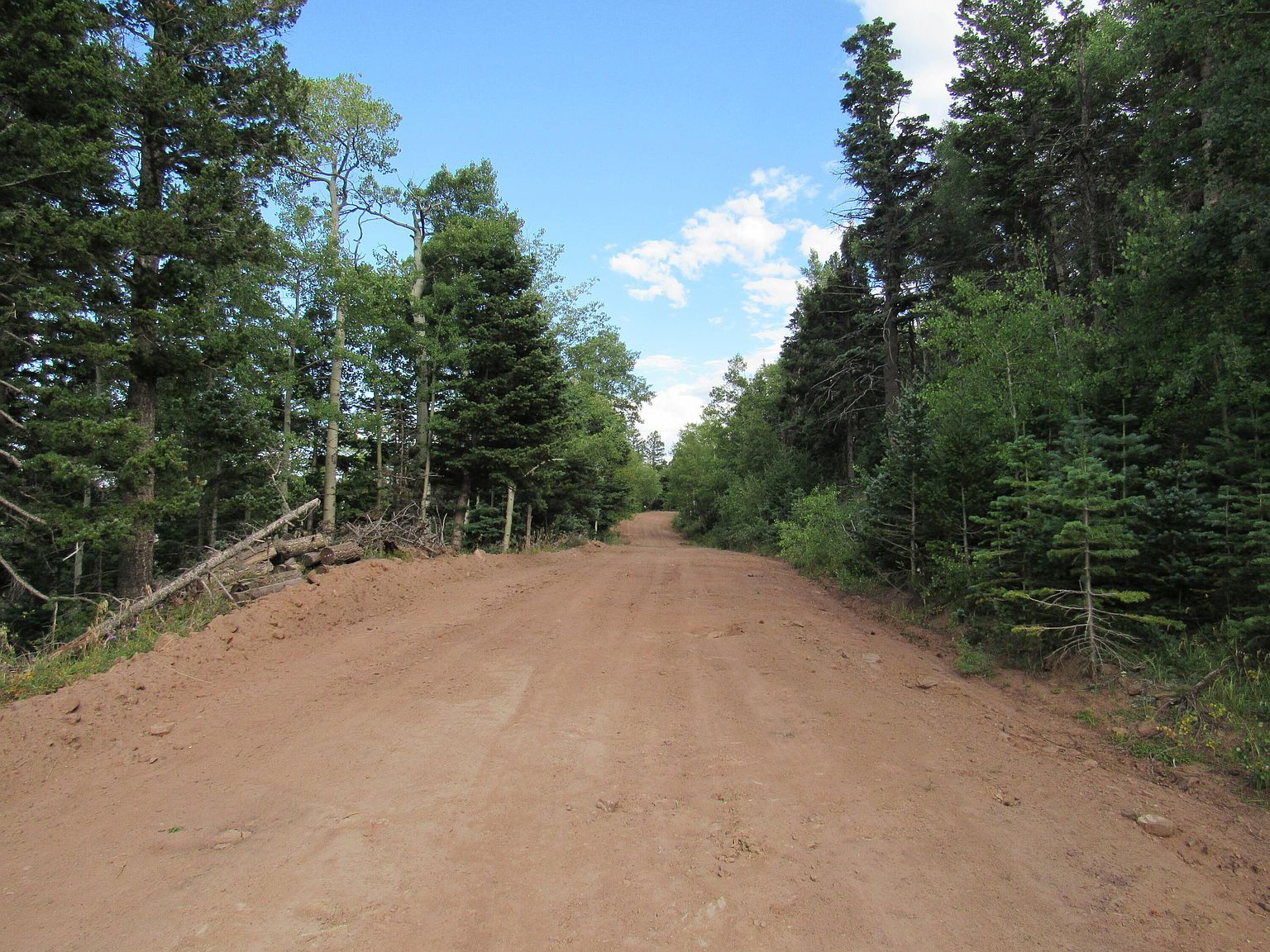 2348 Benton Pl Fort Garland, CO 81133  | Land/Lot