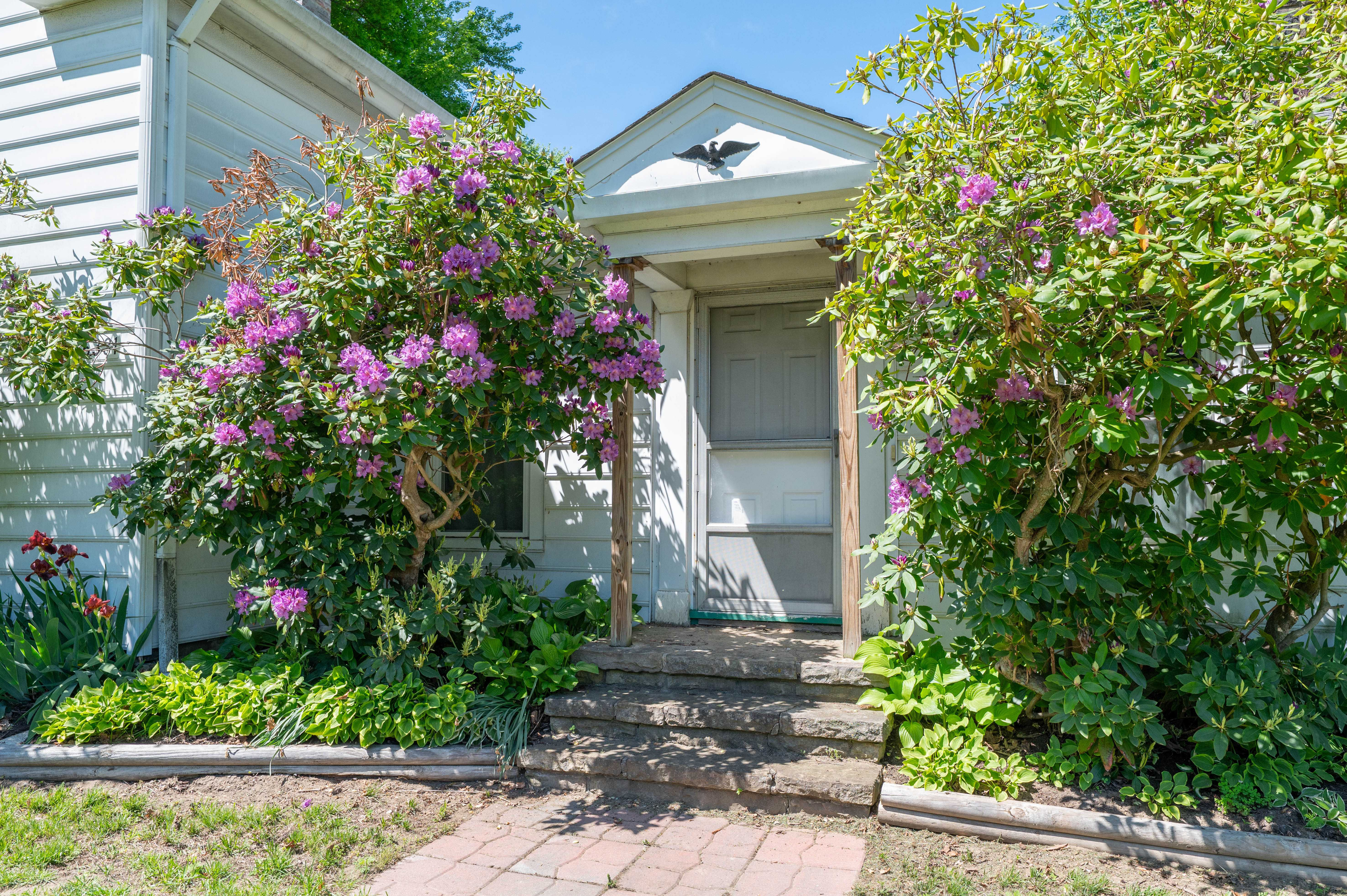 6331 Chapel Road, Madison, OH, USA, 44057 - Thumbnail 4