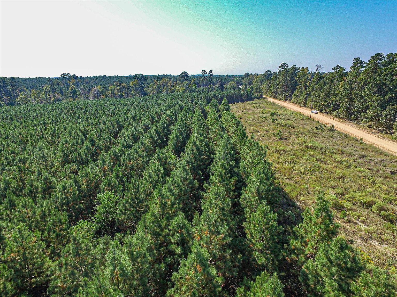 290 Red Hollow Rd Livingston, TX 77351  | Land/Lot