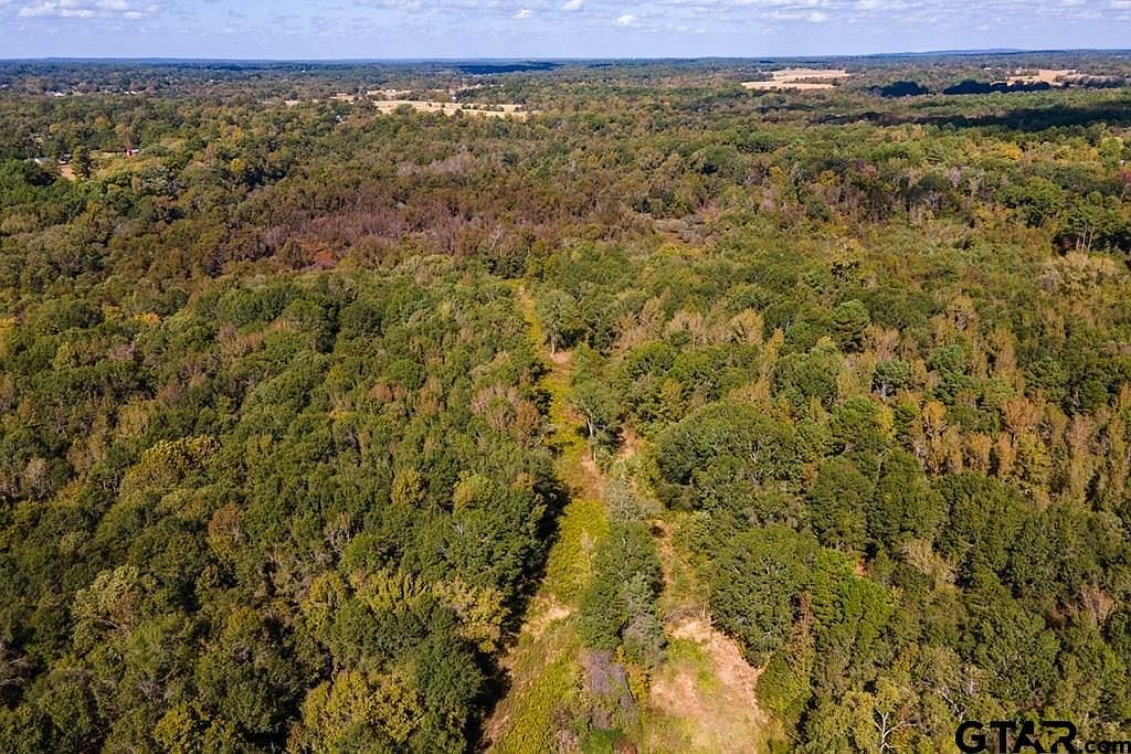 12581 Fm 2607 Arp, TX 75750  | Land/Lot