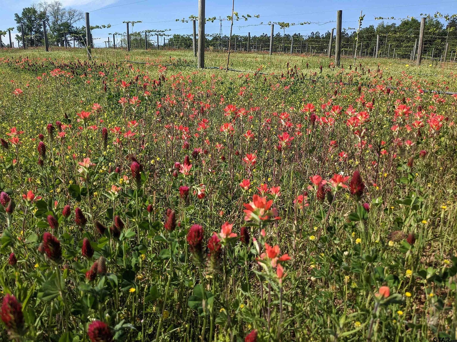 21803 County Road 2178 Troup, TX 75789  | Single Family