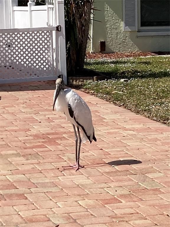 912 62nd Street Ct W Bradenton, FL 34209  | Single Family