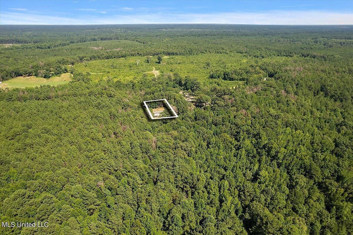 2445 Highway 43 S Kosciusko, MS 39090  | New build