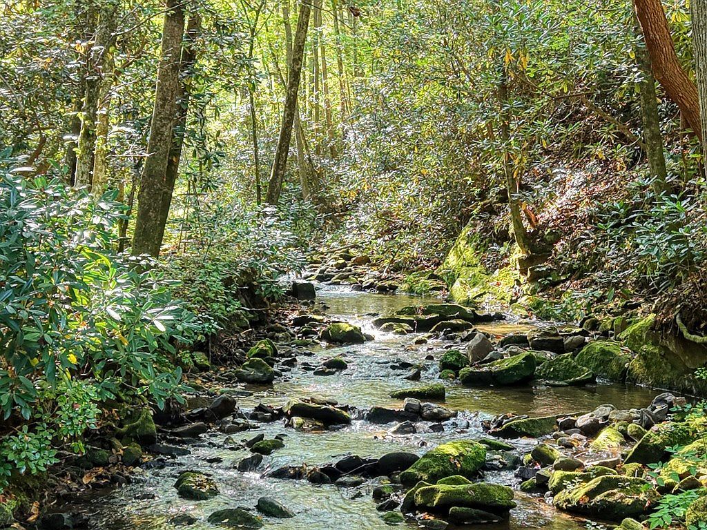 4836 Swallows Creek Rd Hiawassee, GA 30546 - Thumbnail 4