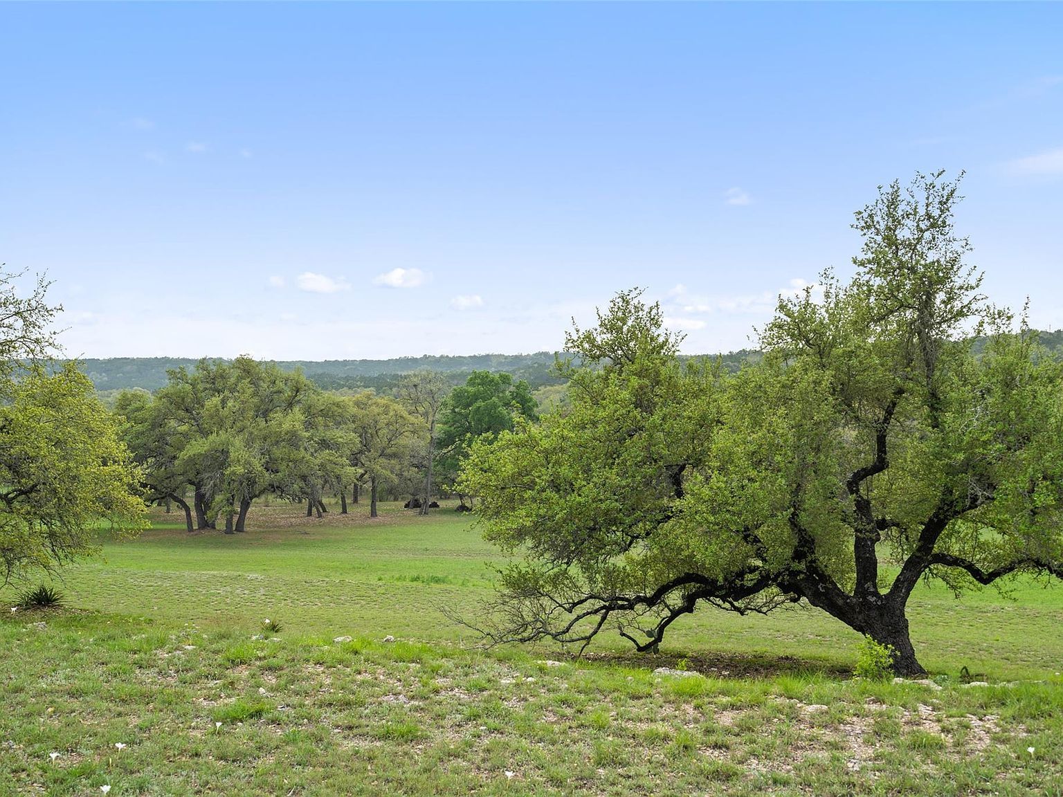 2910 La Ventana Pkwy Driftwood, TX 78619 - Thumbnail 4