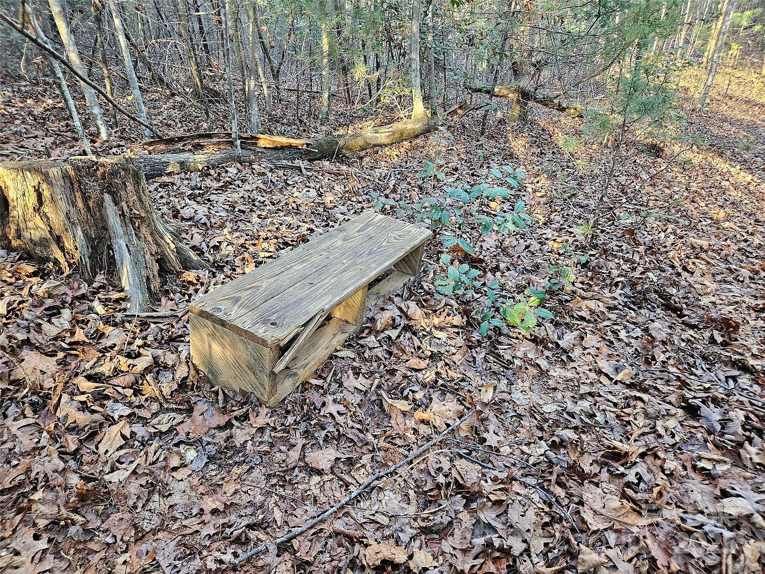 3163 Lake Dr #53 & 52 Morganton, NC 28655 - Thumbnail 4