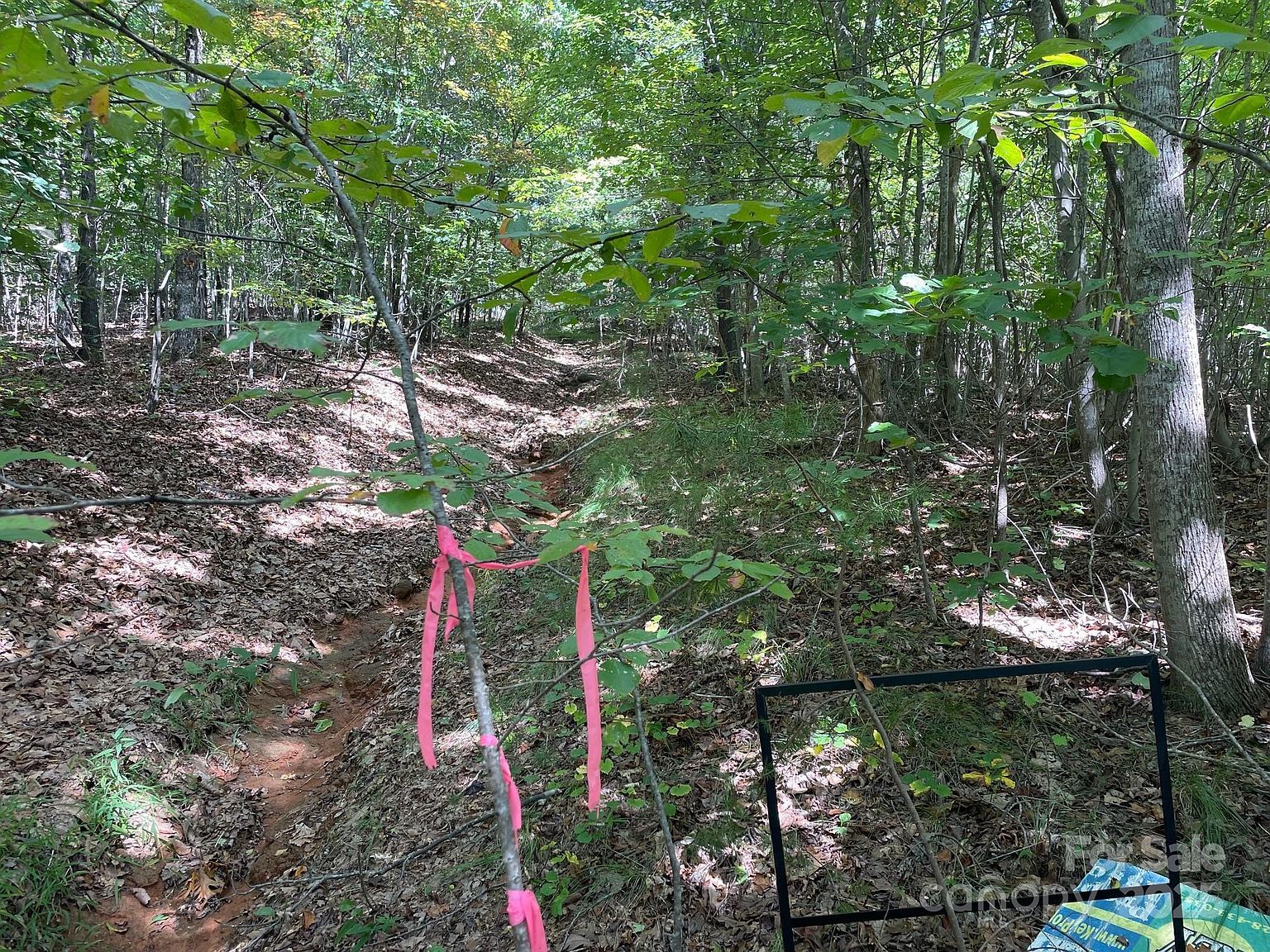 3913 High Peak Ter Valdese, NC 28690 - Thumbnail 4